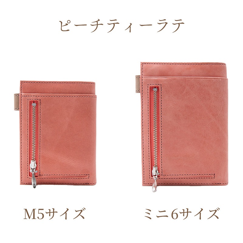 Ashford��NAGASAWA �ӥ��꡼�� �Х����顼 �����ƥ��Ģ �ԡ����ƥ������ M5/M6(�ߥ�6)