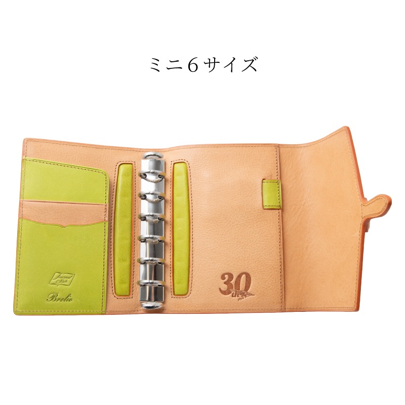 Brelio��NAGASAWA �����ƥ��Ģ Fly to ���󥿡��ե�å� M5 / �ߥ�6