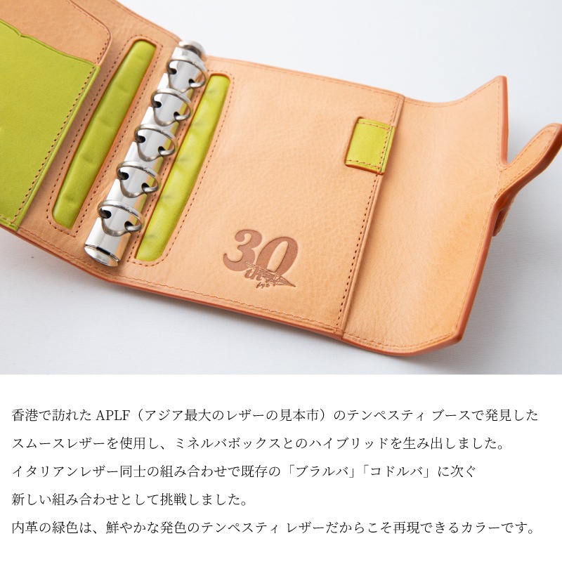 Brelio��NAGASAWA �����ƥ��Ģ Fly to ���󥿡��ե�å� M5 / �ߥ�6