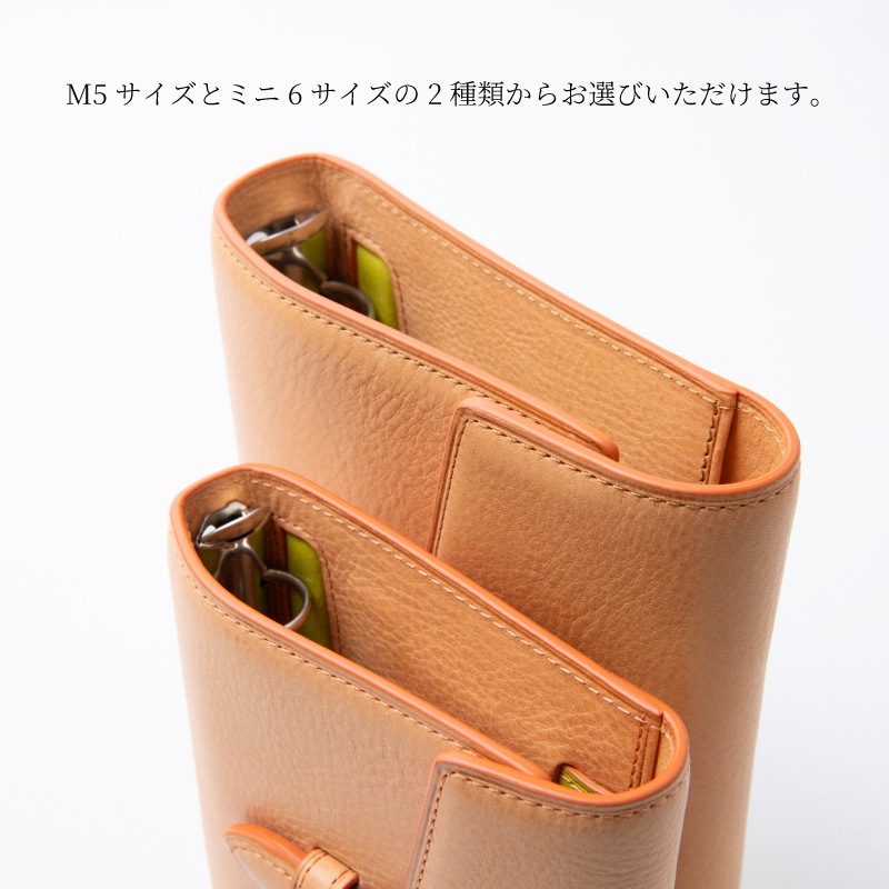 Brelio��NAGASAWA �����ƥ��Ģ Fly to ���󥿡��ե�å� M5 / �ߥ�6
