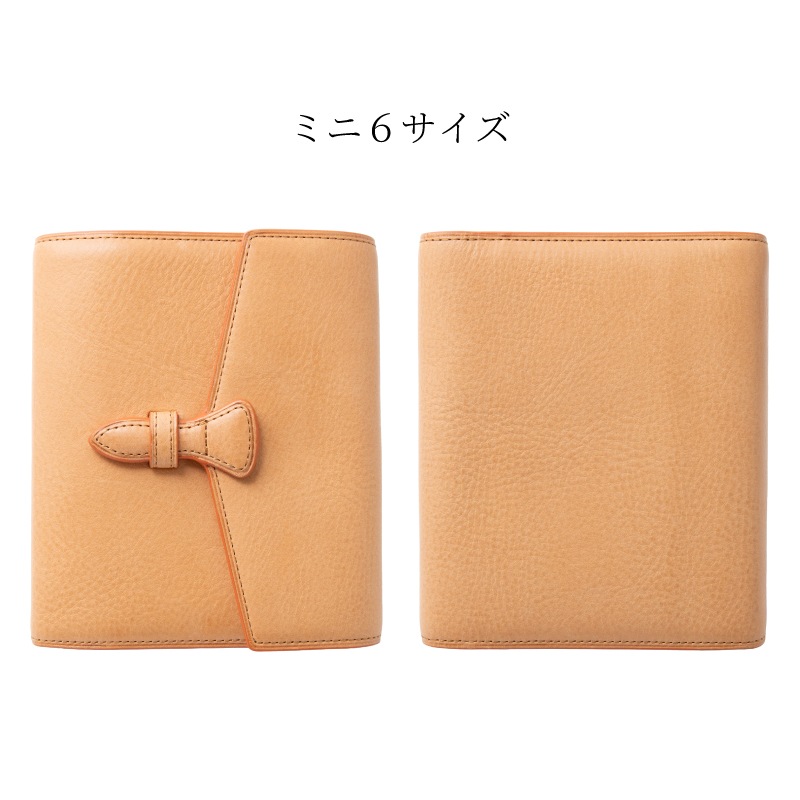 Brelio��NAGASAWA �����ƥ��Ģ Fly to ���󥿡��ե�å� M5 / �ߥ�6