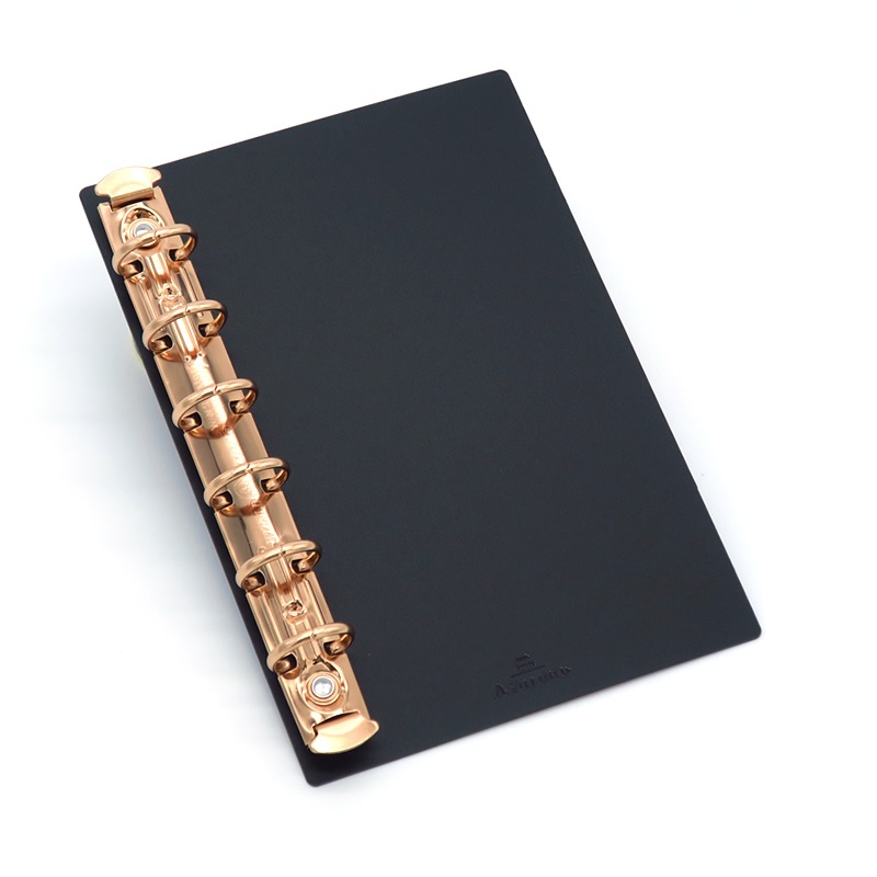 ミニ6システム手帳 ネオフィナードライフォーガナイザー❣️差し込み 