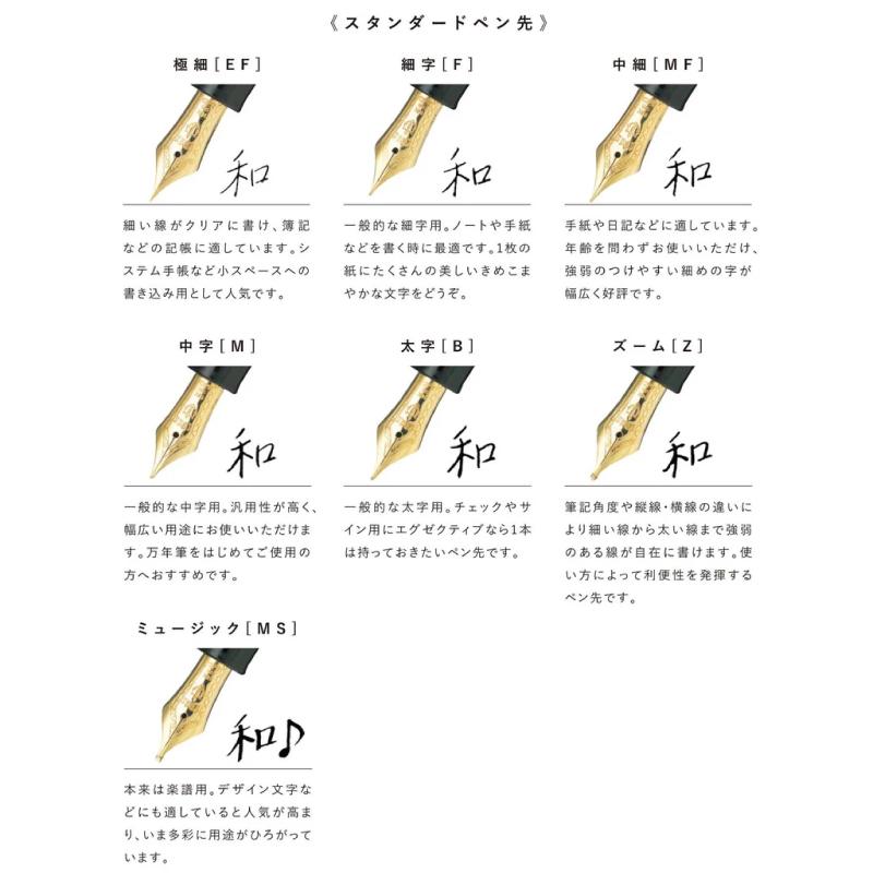 �����顼��ǯɮ �ץ��ե��å���ʥ륮���� ��ǯɮ Z / MS 11-2037