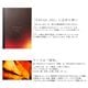 �ڿ��̸����KAYOU+|������ץ饹 AIMVISION Edition_001 KOHAKU