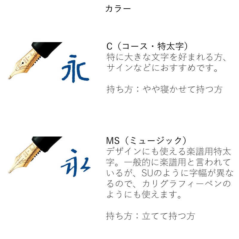�ѥ����å� ��ǯɮ ��������74 �֥�å� C/MS FKKN-14SR