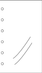 Davinci �����ƥ��Ģ��ե��롡�ߥ�6�ꥵ���� PP�ݥ��å�