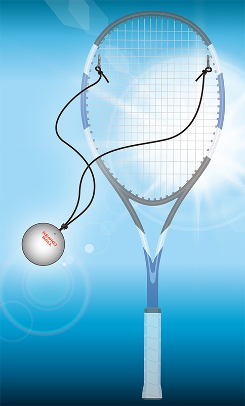 ケンコーWボレー (TSV-WB) 1個