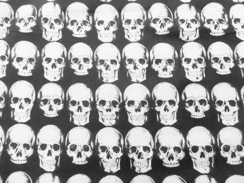 生地アレキサンダーヘンリー【 Rad skull  Black】