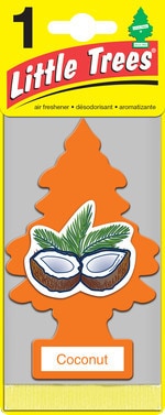 【リトル・ツリー】ココナッツ