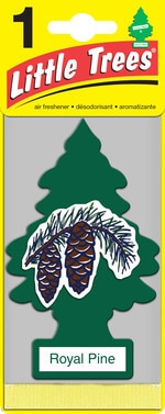 【リトル・ツリー】ロイヤル・パイン