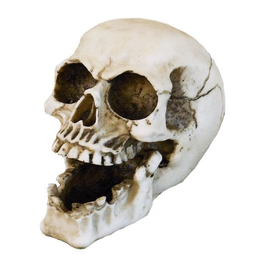 スカルアシュトレイSK009