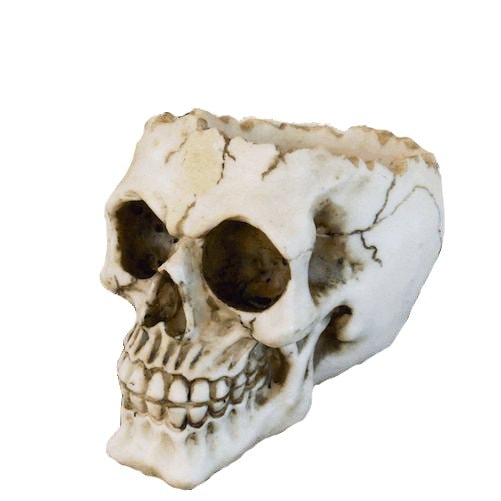 スカルアシュトレイSK008