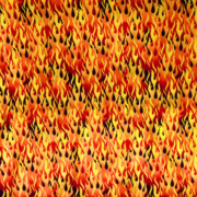 生地Timeless Treasures 【Fire】