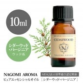  ���������åɡ��С����˥� 10ml 
