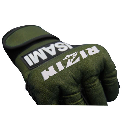 RIZIN ץե󥬡֡Ǽ6)