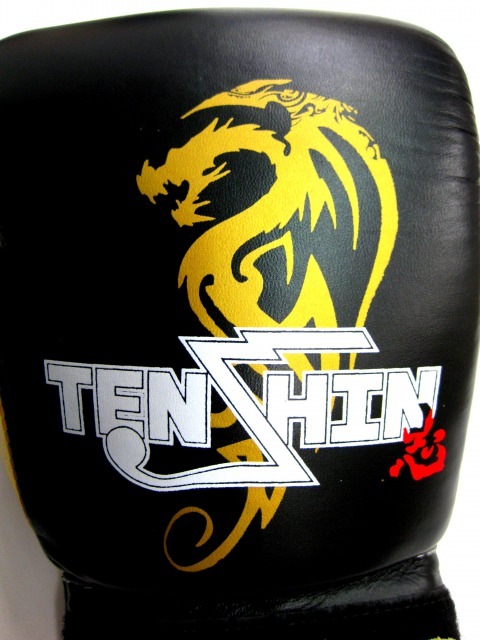 那須川天心×イサミ 天心グローブ | キックムエタイ,スパーリング