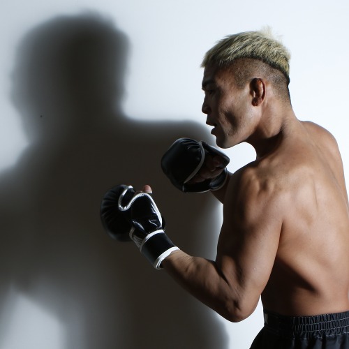 TN-8 パウンドグローブ | グローブ・バンテージ,オープンフィンガー