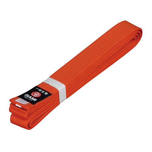 海外製空手帯 色帯