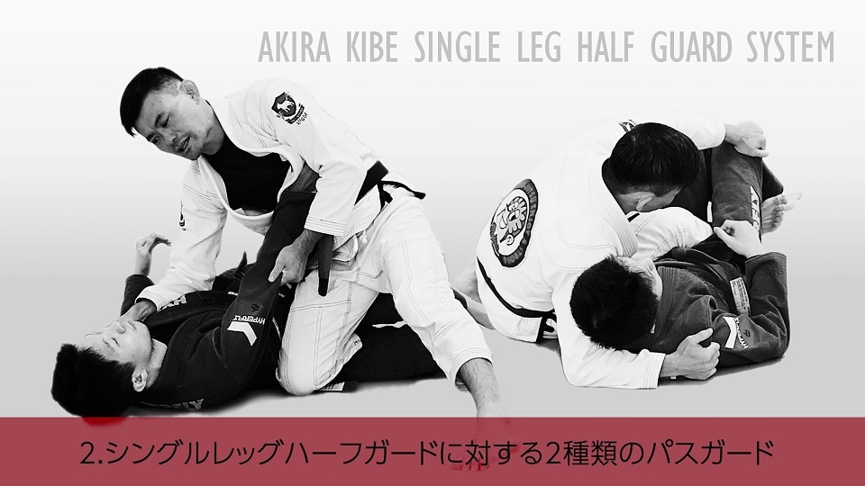 DVD 木部亮 シングルレッグハーフガードシステム