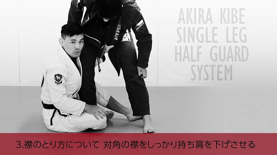 DVD 木部亮 シングルレッグハーフガードシステム