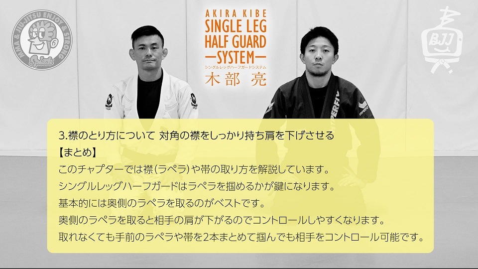 DVD 木部亮 シングルレッグハーフガードシステム