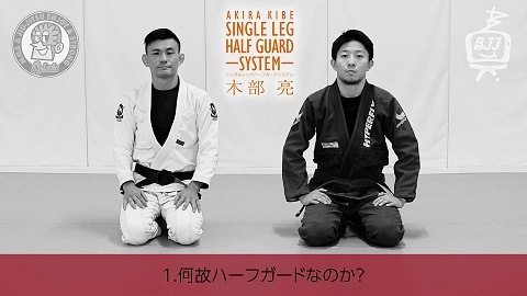DVD 木部亮 シングルレッグハーフガードシステム