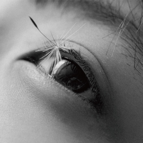 カネコアヤノ / 祝祭 ひとりでに | CD,日本,ポップス / シティ