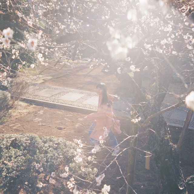 カネコアヤノ / ひかれあい | CD,日本,ポップス / シティポップ,新品