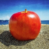 CASANOVA FISH / FLASHBACK IN MY DREAM