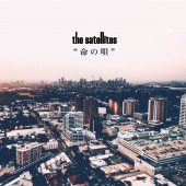 the satellites / ̿�α�
