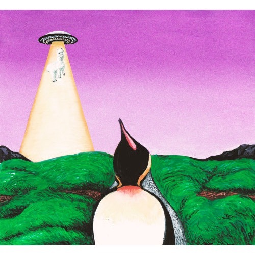 South Penguin / Y