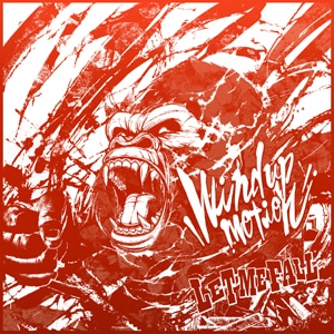 Let Me Fall / Wind up motion