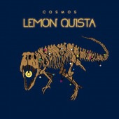 COSMOS / ���󥭥���