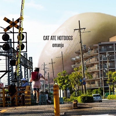 CAT ATE HOTDOGS / omanju