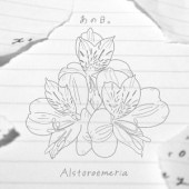 Alstroemeria / ��������