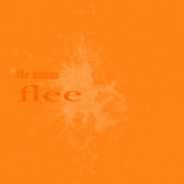 the asinus / flee