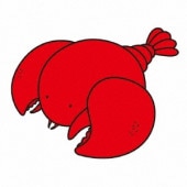 ����ŵ����9/30ȯ���THE HIGH-LOWS / ���֥�������RECORD��