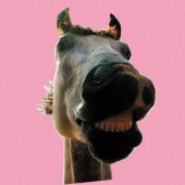 ����ŵ����9/30ȯ���THE HIGH-LOWS / Do!!The��MUSTANG��RECORD��