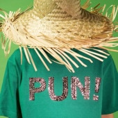 PunPunCircle / Pun!