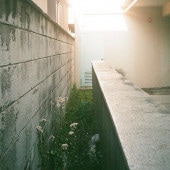 SuU / �ǲ�