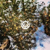 V.A / �ҷ��������ꡣ��VA)