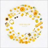 Half time Old / CRISP YELLOW
