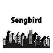 Transit My Youth / Songbird