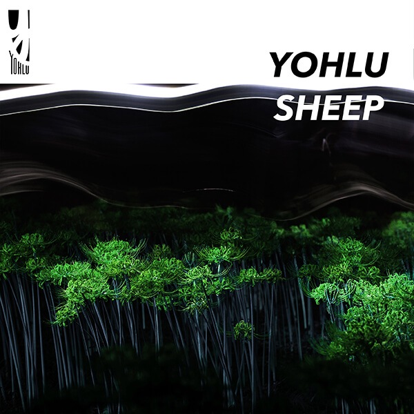 YOHLU / SHEEP - &I