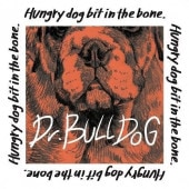 Dr.BULLDOG / Hungry dog bit in the bone.