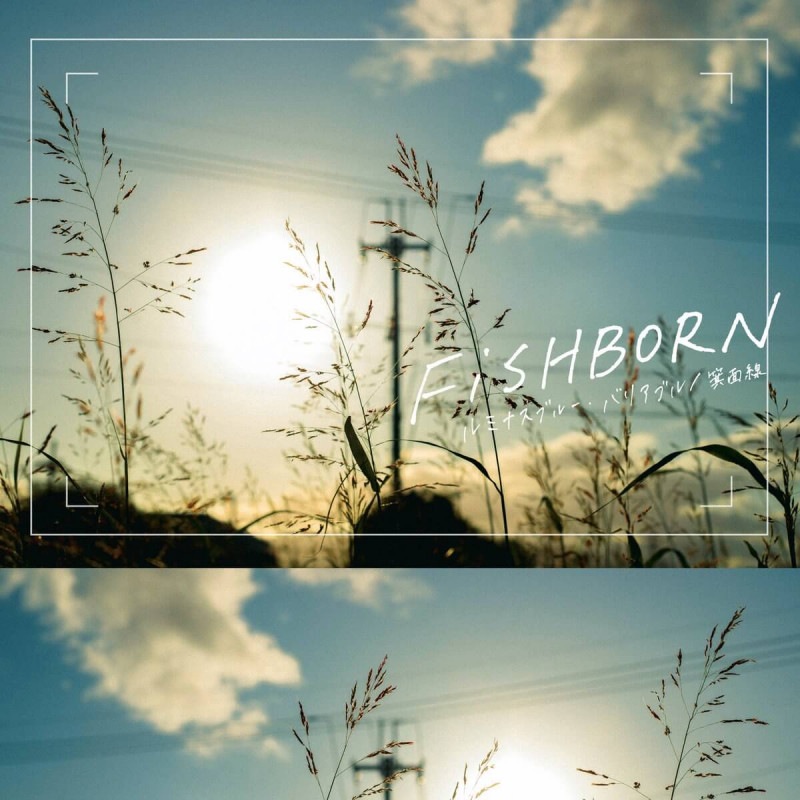 FiSHBORN / ��ߥʥ��֥롼���Хꥢ�֥� - ̧����