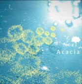 Noel / Acacia