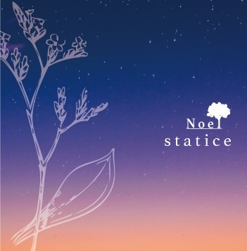 Noel / Statice