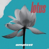 amplest / lotus
