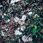 V.A / �ҷ��������ꡣ -2020ǯ��������VA)